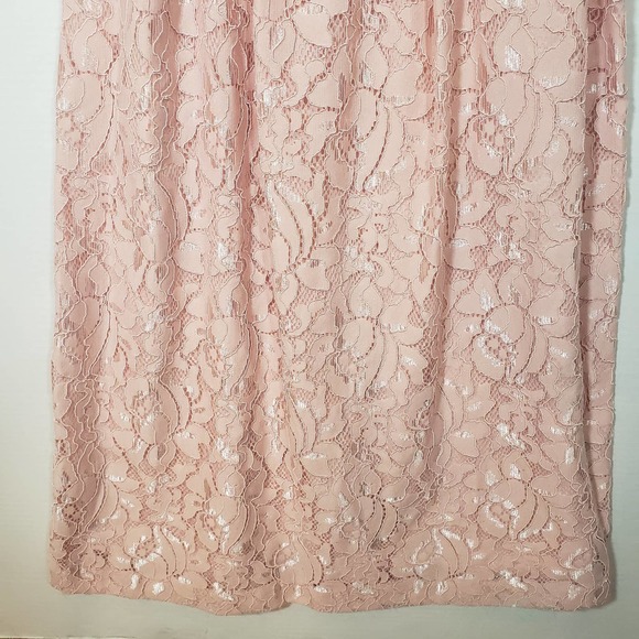 Cynthia Steffe Dress 12 Lace Rose Pink Sleeveless Party Cocktail Fit Flare NWT - Picture 3 of 9